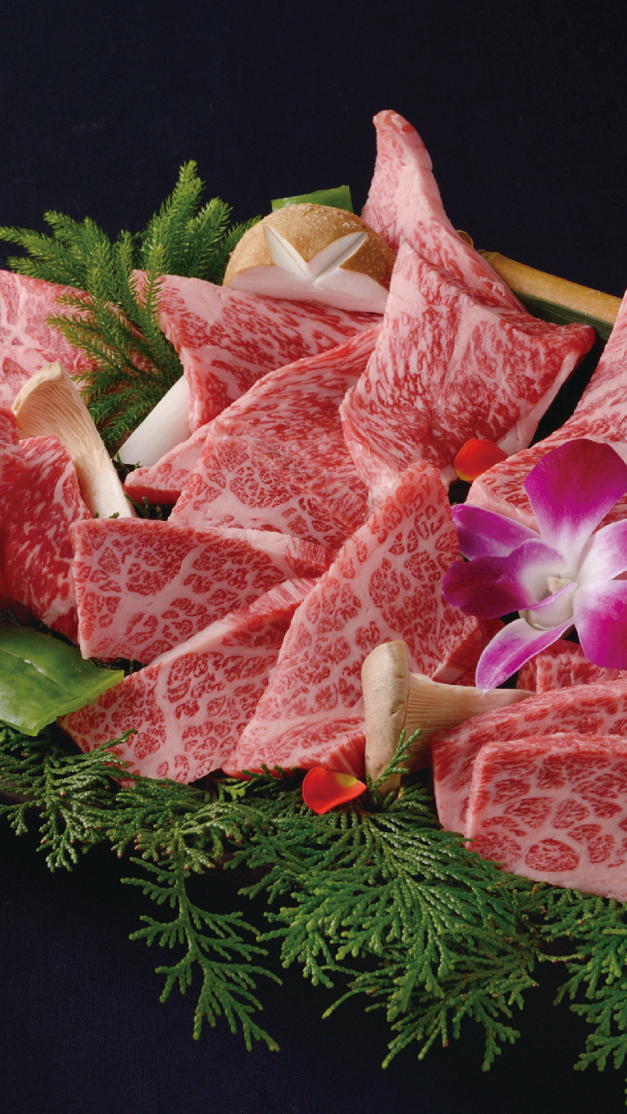 ６・大阪府・masa・ブラックジャック 新商品】サプライズボックス6月号は、『ブラック・ジャック